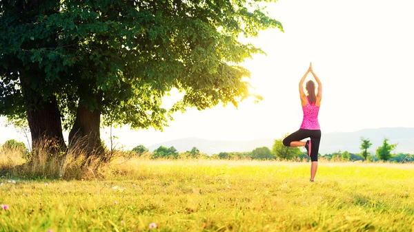 Atletische jongedame beoefenen van yoga op een weide bij zonsondergang, beeld met lens flare — Stockfoto