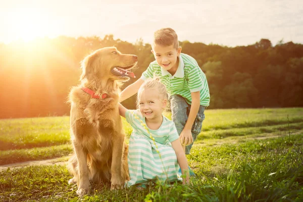 Чарівний брат і сестра грають з собакою — стокове фото