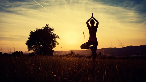 O tânără atletică care practică yoga pe o pajiște la apus de soare, siluetă — Fotografie, imagine de stoc