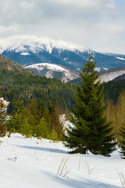 Kar manzara, Donovaly resort, Slovakya görünümünden kaplı