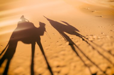 Deveye binmek gölgeler, Sahara, Fas