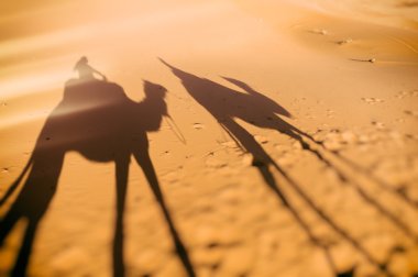 Camel ride shadows, Sahara, Morocco clipart