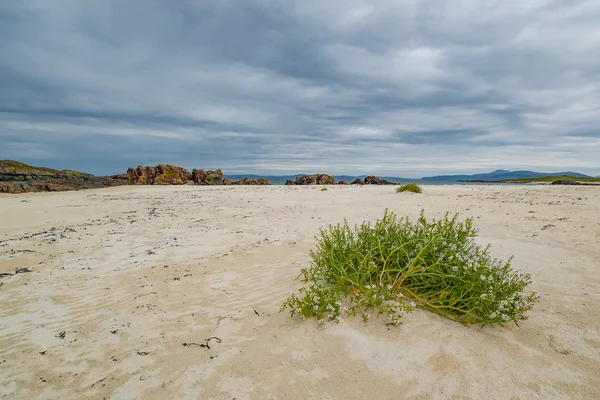 Isle of Iona beach on a cloudy day — Stock Photo, Image