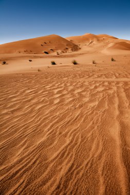 Sahara Çölü, Erg African, Fas