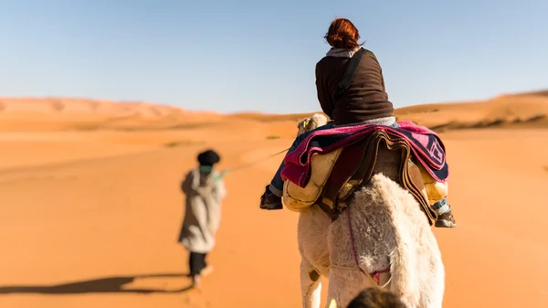 Woman traveling on camel led by a berber nomad, back view — Stock Photo, Image