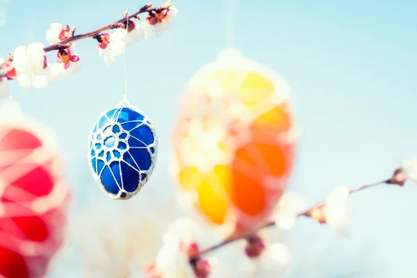 Kleurrijke paaseieren opknoping van een bloeiende appelboom — Stockfoto