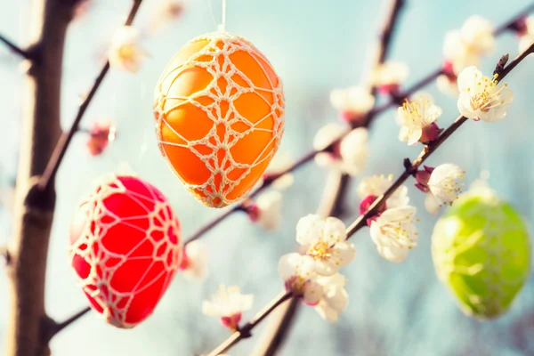 Kleurrijke paaseieren opknoping van een bloeiende appelboom — Stockfoto