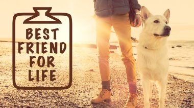 Yaşam konsepti, köpeğini gün batımı sırasında bir plajda kız için en iyi arkadaşı