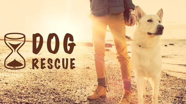 Dog rescue concept, girl with her dog at a beach during sunset — Stock Photo, Image