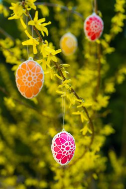 Çiçek açan bir hor çiçeği asılı güzel Paskalya yumurtaları