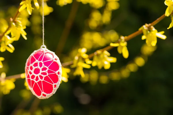Mooie Easter eggs opknoping van een bloeiende Forsythia — Stockfoto