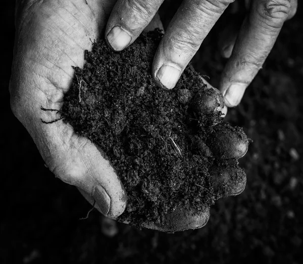Stara kobieta trzymając się za ręce świeże gleby. Symbol wiosny i ekologia koncepcja — Zdjęcie stockowe