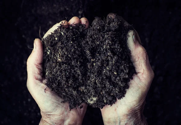 Oude vrouw handen met verse bodem. Symbool van voorjaar en ecologie concept — Stockfoto