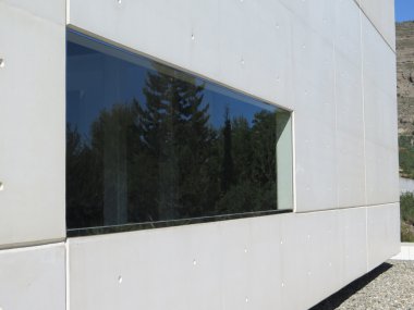 çam ağaçları, yansıması 