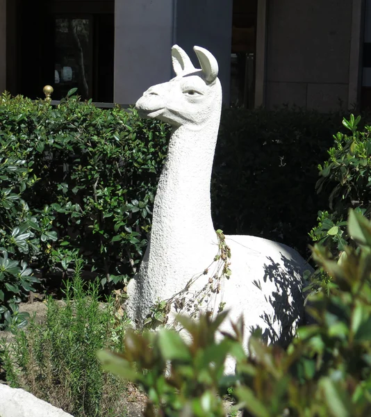 Скульптура ламы — стоковое фото