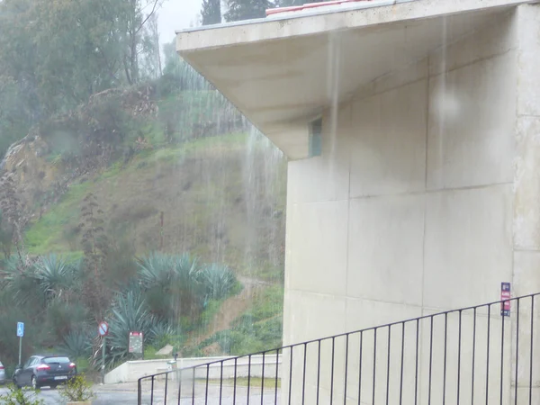 Ducha de lluvia torrencial — Foto de Stock