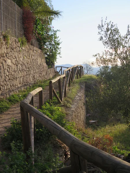 Ländlicher Landweg — Stockfoto