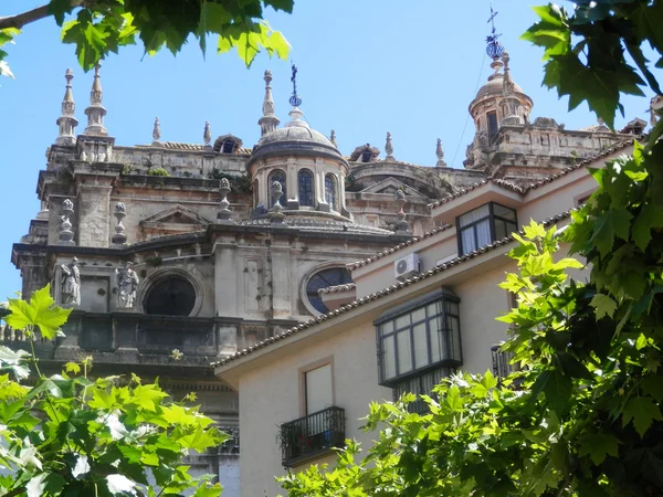 Cattedrale di Jaen — Foto Stock