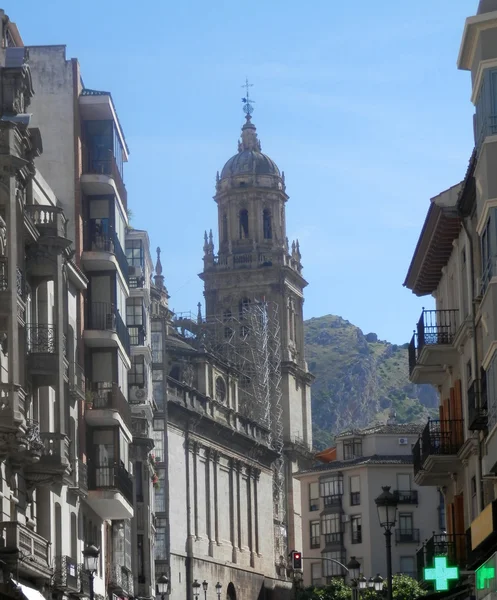 Cathédrale de Jaen — Photo