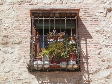 Kurutulmuş çiçekler ile barred pencere