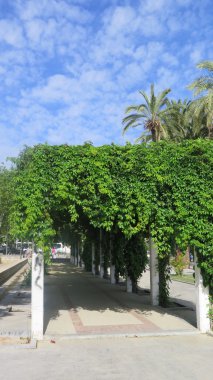 Jaen içinde büyümüş köşk