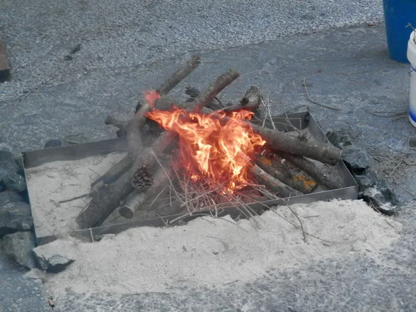 Arderea bustenilor in tava — Fotografie, imagine de stoc