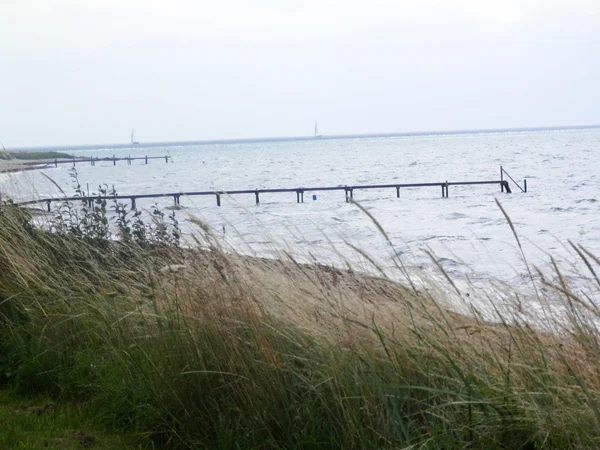 Strand op winderige dag — Stockfoto