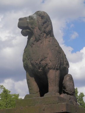 Aslan fino köpeği