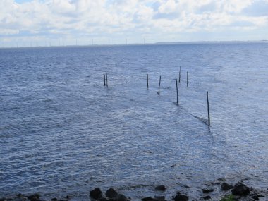 Pound ağları ve direkleri