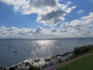 Pound ağları ve direkleri