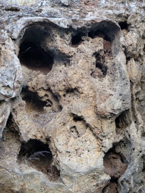 Kürek şeklinde kaya yüzüne