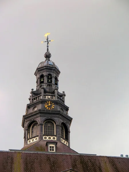 Maastricht Town Hall Tower — Stok fotoğraf