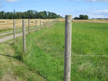 Alanı çitlerle çevrili