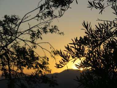 İspanya turuncu gündoğumu