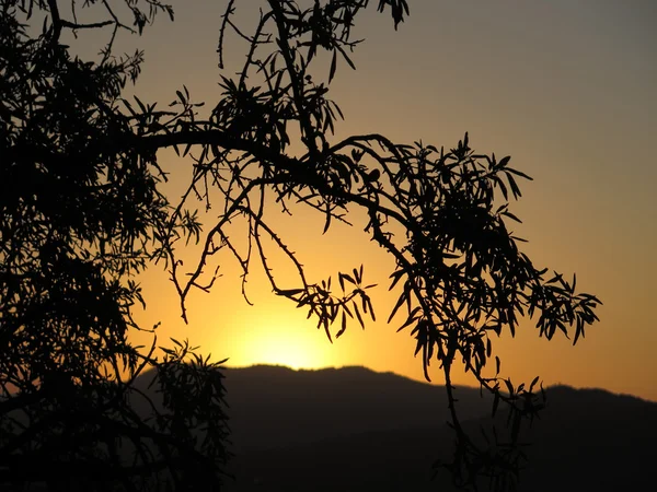 Orange Sunrise в Испании — стоковое фото