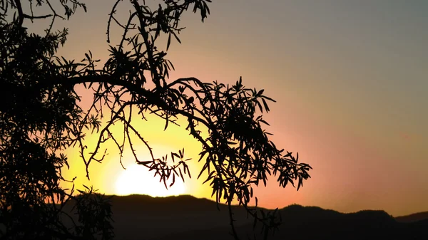 Nascer do sol laranja em Espanha — Fotografia de Stock