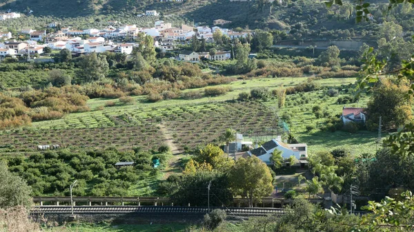 Καρποφόρα Δέντρα Απομονωμένη Κοιλάδα Μεταξύ Σιδηροδρομικής Γραμμής Και Μικρού Χωριού — Φωτογραφία Αρχείου