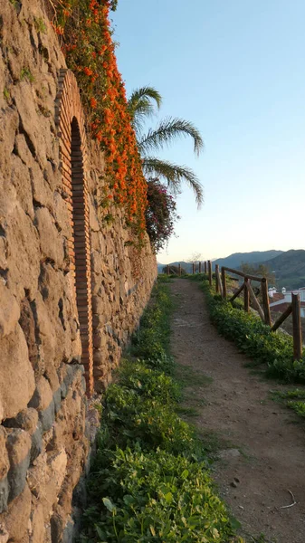 Sendero Rural Bajo Áspera Madreselva Cubierta Pared Las Afueras Alora —  Fotos de Stock