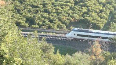 Sevilla treni Endülüs vadisinde limon koruluklarından geçiyor. Endülüs 'teki limon ağaçlarının arasından geçen Sevilla treninin manzarası