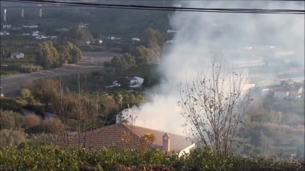 煙の家の近くにアンダルシアの谷の川底を乾燥した 早朝の家の前の果物の木からの農家の燃焼トリミングアンダルシアの1月の日差し — ストック動画