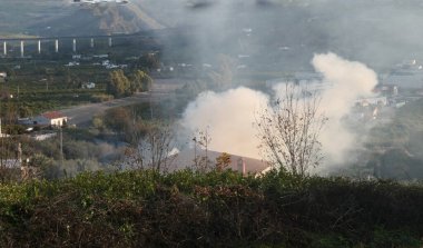 Sabahın erken saatlerinde Endülüs 'ün Ocak ayının güneşinde evin önündeki meyve ağaçlarından budama yapan çiftçi.