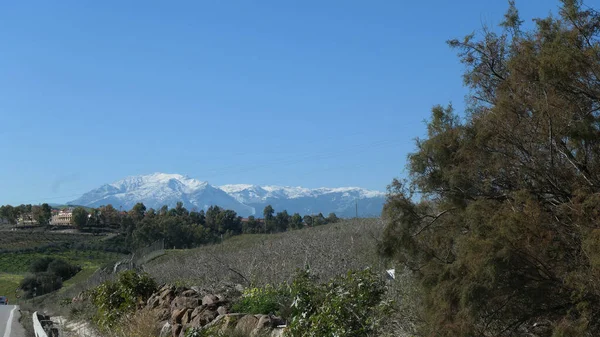 Nieve Enero Montañas Lejanas Parque Nacional Sur Alora Andalucía —  Fotos de Stock