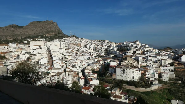 Weiß Gewaschene Häuser Hang Des Sonnigen Andalusischen Dorfes Alora — Stockfoto