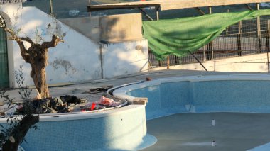 Açık havuzun fayanslı duvarlarında zeytin ağacı süslemesi var.