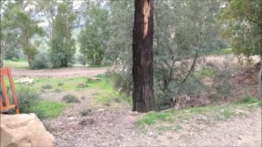 Kırsal sandalye arkaya ve sallanan koltuk. Endülüs köyündeki düz kaya için sırt dinlenme yeri olarak kullanılan kırık sandalyenin arkası.