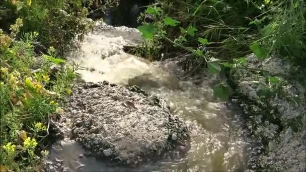 Pequeño Arroyo Que Fluye Través Del Campo Andaluz Pequeña Cascada — Vídeo de stock