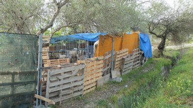 Endülüs kırsalındaki palet ve brandalardan yapılmış koyun ağılı