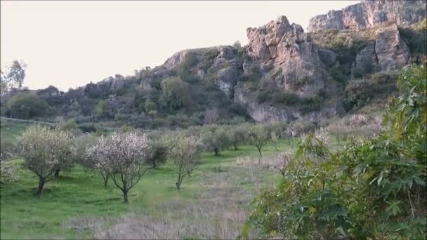 Felsen Andalusien Ähnelt Dem Gesicht Eines Menschenaffen Felslandschaft Vor Blauem — Stockvideo