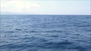 Güneşli bir günde Tarifa, Endülüs 'ten balina izleme gezisi.