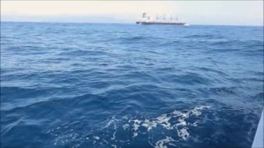 Güneşli bir günde Tarifa, Endülüs 'ten balina izleme gezisi.